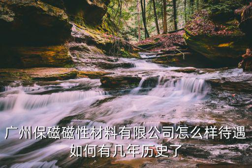 廣州保磁有限公司，最專業的保持式電磁鐵生產廠家是哪家