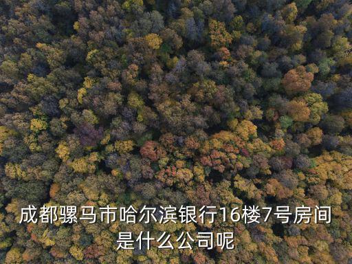 成都騾馬市哈爾濱銀行16樓7號房間是什么公司呢