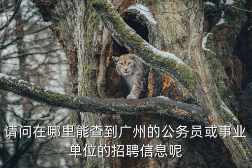 請問在哪里能查到廣州的公務員或事業單位的招聘信息呢