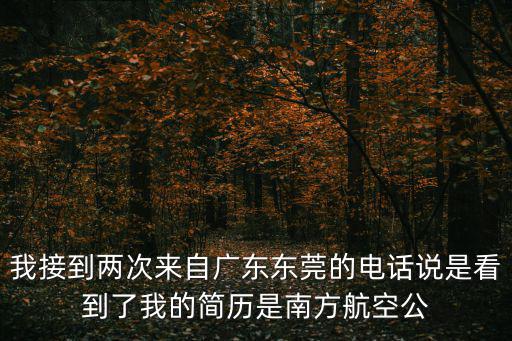 我接到兩次來自廣東東莞的電話說是看到了我的簡歷是南方航空公
