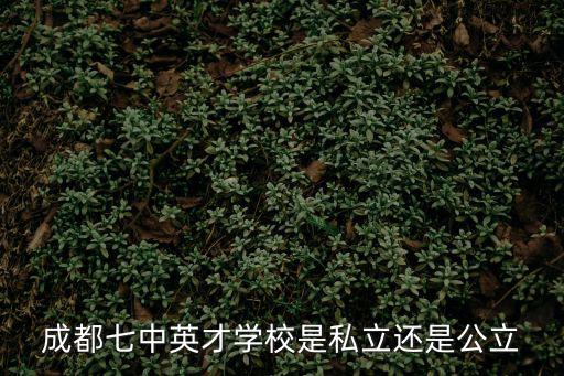 成都七中英才學(xué)校是私立還是公立