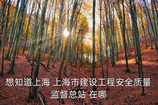 想知道上海 上海市建設(shè)工程安全質(zhì)量監(jiān)督總站 在哪