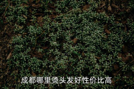 成都哪里燙頭發(fā)好性價比高