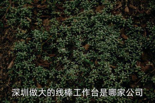 深圳做大的線棒工作臺是哪家公司