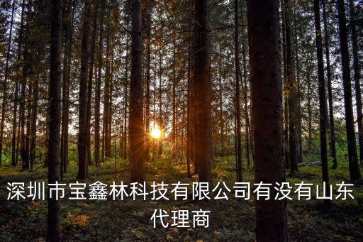 深圳市寶鑫林科技有限公司有沒有山東代理商