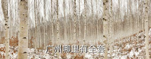 廣州哪里有全套