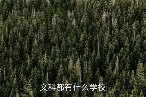 東莞市華僑中學 清華北大錄取人數，東美華僑中學錄取分數是多少