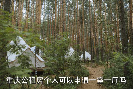 重慶公租房個人可以申請一室一廳嗎
