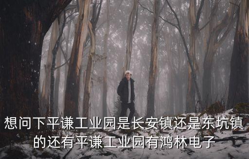想問下平謙工業園是長安鎮還是東坑鎮的還有平謙工業園有鴻林電子
