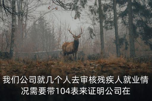 我們公司就幾個人去審核殘疾人就業情況需要帶104表來證明公司在