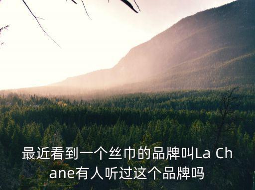 最近看到一個絲巾的品牌叫La Chane有人聽過這個品牌嗎