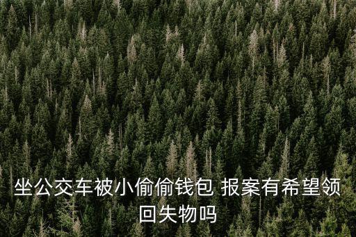 坐公交車被小偷偷錢包 報(bào)案有希望領(lǐng)回失物嗎