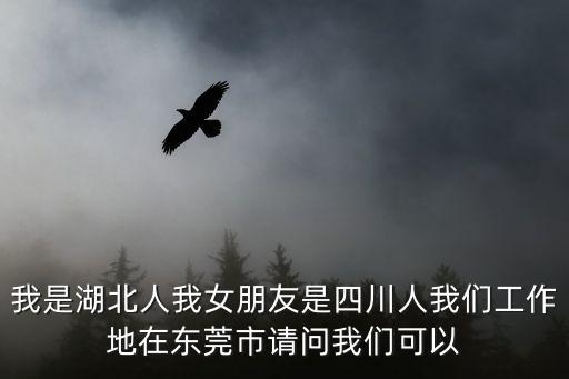 湖北返回東莞的政策，現在湖北省的社保可以轉到東莞了嗎