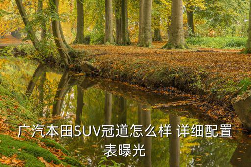 廣汽本田SUV冠道怎么樣 詳細配置表曝光