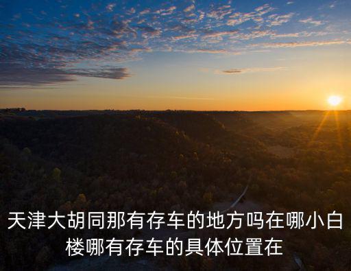 天津市龍車(chē)停車(chē)場(chǎng)在哪個(gè)位置，天津小白樓哪有物美價(jià)廉的停車(chē)場(chǎng)怎么收費(fèi)