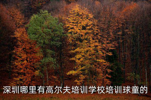 深圳哪里有高爾夫培訓(xùn)學(xué)校培訓(xùn)球童的