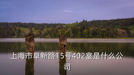 上海市阜新路15號402室是什么公司