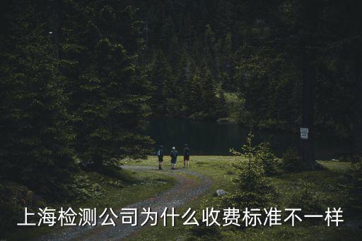 上海市監理平行檢測收費標準，依據監理收費標準發改價格2007670號文規定計算出的監理費包