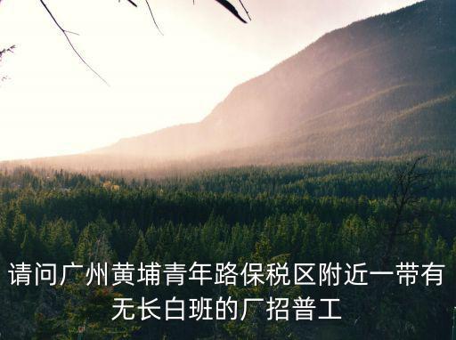 請問廣州黃埔青年路保稅區附近一帶有無長白班的廠招普工