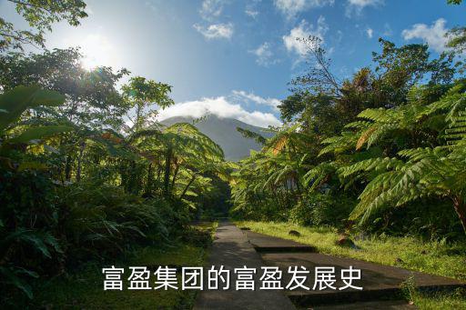 東莞厚街富盈房地產(chǎn)招聘空調(diào)工嗎，我在網(wǎng)上投了東莞富盈房地產(chǎn)開發(fā)有限公司的預(yù)算資料員打電話來叫我