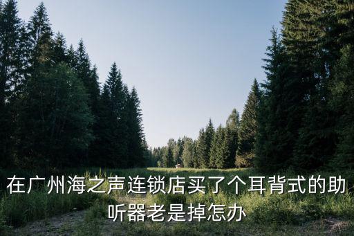 廣州海之聲員工，海之聲助聽器店節假日上班嗎