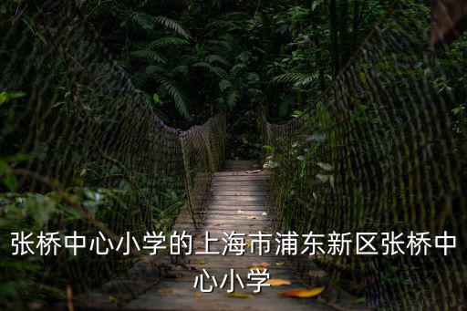 張橋中心小學的上海市浦東新區張橋中心小學