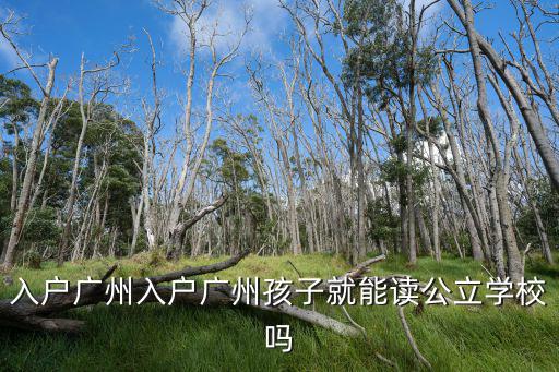 入戶廣州入戶廣州孩子就能讀公立學(xué)校嗎