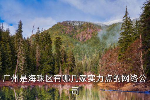 廣州是海珠區(qū)有哪幾家實(shí)力點(diǎn)的網(wǎng)絡(luò)公司