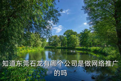 知道東莞石龍有哪個公司是做網絡推廣的嗎