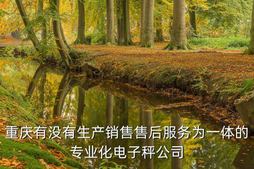 重慶有沒有生產銷售售后服務為一體的專業(yè)化電子秤公司