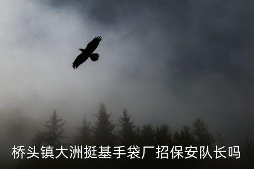 橋頭鎮(zhèn)大洲挺基手袋廠招保安隊長嗎