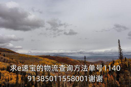 求e速寶的物流查詢方法單號114091385011558001謝謝