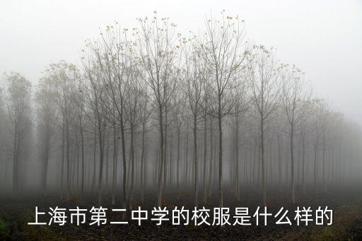 上海市第二中學的校服是什么樣的