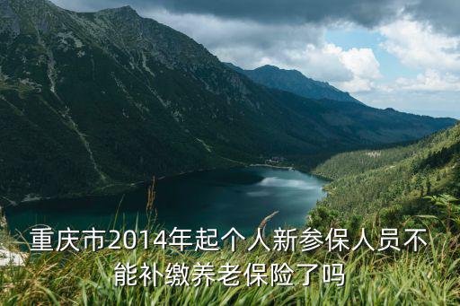 重慶市2014年起個人新參保人員不能補繳養(yǎng)老保險了嗎