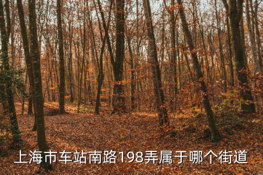 上海市車(chē)站南路198弄屬于哪個(gè)街道