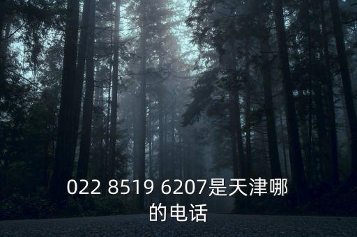 022 8519 6207是天津哪的電話