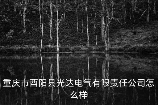 重慶市酉陽縣光達(dá)電氣有限責(zé)任公司怎么樣