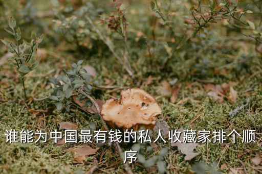 廣州國巨商貿有限公司，廣東東莞塘廈有幾個工業區