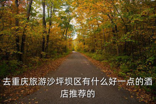 去重慶旅游沙坪壩區(qū)有什么好一點(diǎn)的酒店推薦的