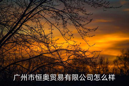 廣州市恒奧貿(mào)易有限公司怎么樣