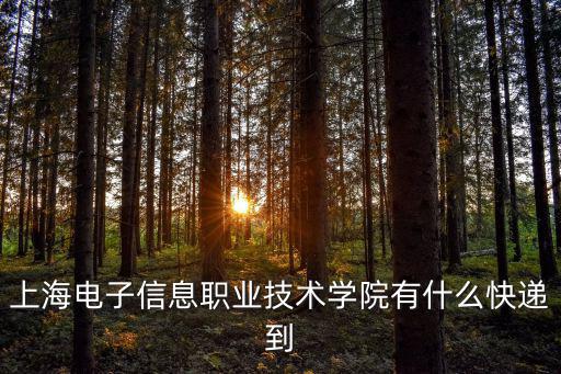 上海電子信息職業(yè)技術(shù)學(xué)院有什么快遞到