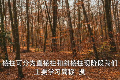 成都市青少年宮舞蹈學校棱，成都市少年宮在那里