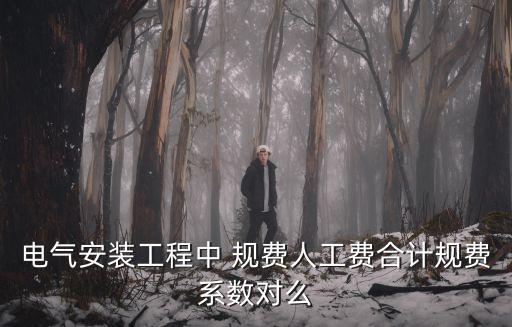 電氣安裝工程中 規(guī)費(fèi)人工費(fèi)合計(jì)規(guī)費(fèi)系數(shù)對(duì)么