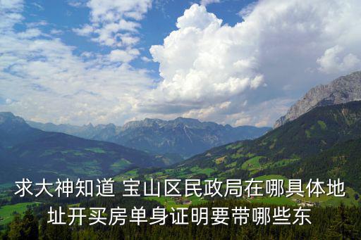求大神知道 寶山區民政局在哪具體地址開買房單身證明要帶哪些東