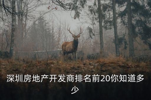深圳房企 50強，深圳都有哪些房地產開發商