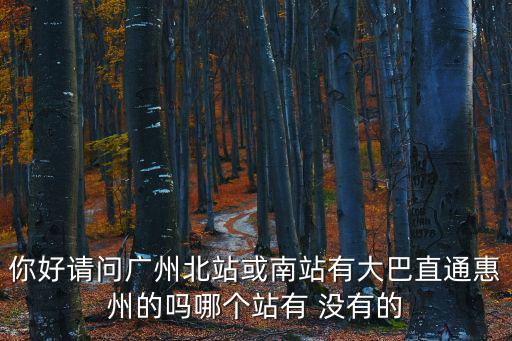 你好請問廣州北站或南站有大巴直通惠州的嗎哪個站有 沒有的