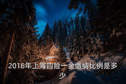 2016年上海四險一金繳納比例是多少