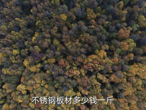 東莞不銹鋼冷軋壓廷，304不銹鋼彈簧線現在什么價格