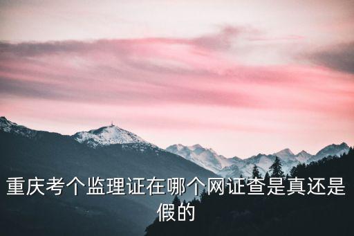 重慶市建設監(jiān)理自律平臺，sitehttpzgqqcomwebplatinfo 重慶區(qū)維護好久