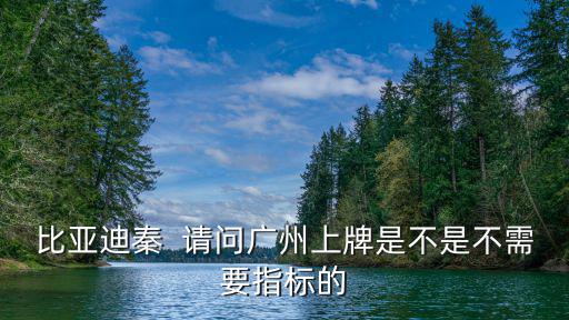 比亞迪秦  請問廣州上牌是不是不需要指標(biāo)的